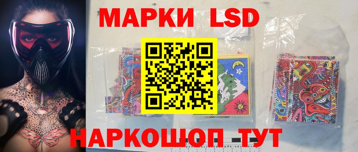 Шадринск  МЕГА ссылки  Вход с VPN  ЛСД экстази кислота  LSD-25 экстази кислота 