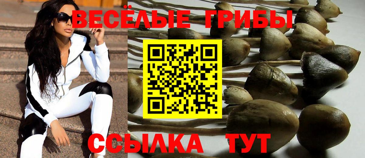 Шадринск  Галлюциногенные грибы Psilocybe  Вход с VPN  Галлюциногенные грибы Psilocybine cubensis 
